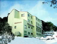 Cedarwood Apartments - Dalby Accommodation 0