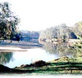 Corowa Golf Club Motel - Dalby Accommodation