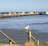 Seaview Motel and Holiday Units - Dalby Accommodation