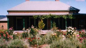 Old Wallinga Country - Dalby Accommodation 0