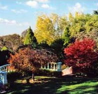 Edgelinks Bed And Breakfast - Dalby Accommodation