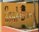 Seahorse Motel - Dalby Accommodation 1