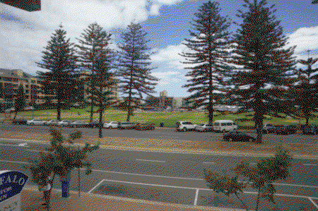 Buffalo Motor Inn - Dalby Accommodation 3