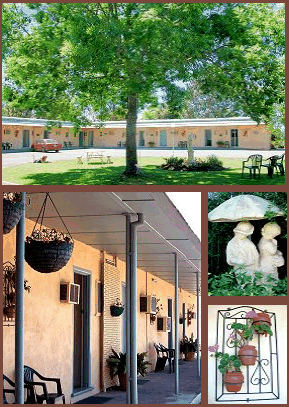Arch Motel - Dalby Accommodation 2