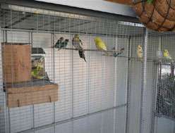 Yarragon Motel - Dalby Accommodation 1