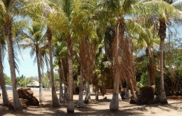 King Sound Resort Hotel - Dalby Accommodation