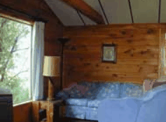The Pines Resort - Dalby Accommodation