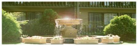Best Western Tall Trees Motel - Dalby Accommodation 2