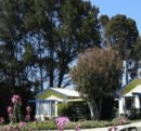 King Island Accommodation Cottages - Dalby Accommodation 1
