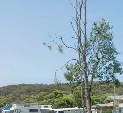 Merry Beach Caravan Park - Dalby Accommodation 2