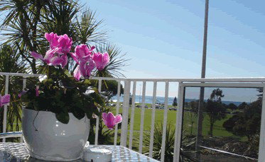 Beach Park Motor Inn - Dalby Accommodation 3