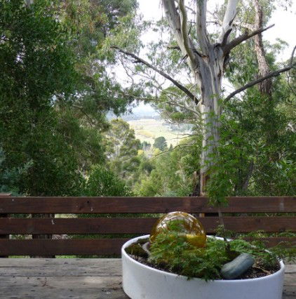 Jindabyne NSW Dalby Accommodation