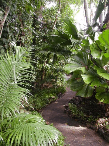 Rainforest Grove Holiday Resort - Dalby Accommodation 1