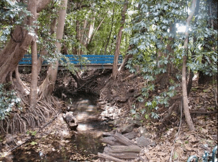 Rainforest Grove Holiday Resort - Dalby Accommodation 3
