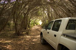 Nampara Cabins - Dalby Accommodation 1