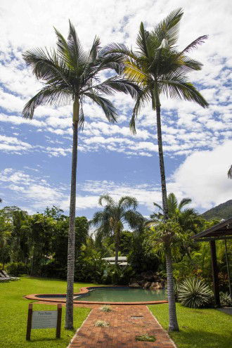 Lake Placid Tourist Park - Dalby Accommodation 1