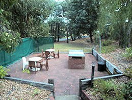 Collie Forest Motel - Dalby Accommodation 4