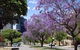 Mountway Holiday Apartments - thumb 3
