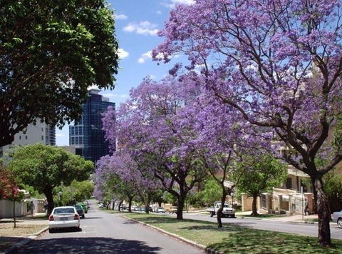 Mountway Holiday Apartments - Dalby Accommodation 3