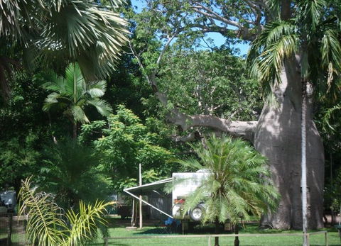 Kimberleyland Holiday Park - Dalby Accommodation 5