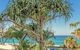 AA Oceana On Broadbeach - thumb 17