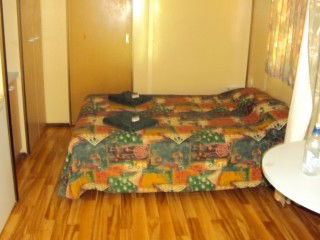 Mataranka Homestead Motel - Dalby Accommodation 4