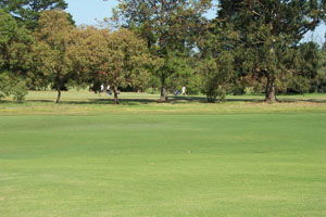 Beach Motor Inn - Dalby Accommodation 7