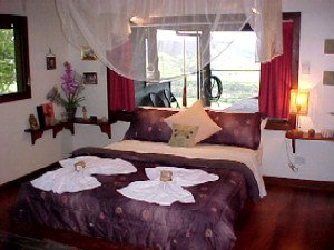 Daintree Cloud 9 - Dalby Accommodation 0