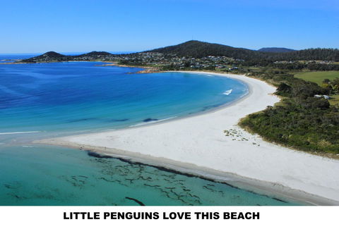 Diamond Island Resort - Dalby Accommodation 5