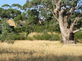Springton SA Dalby Accommodation