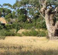 Wings Barossa Bird and Bush Retreat - Dalby Accommodation