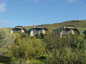 Saunders Gorge Sanctuary - Lodges - Dalby Accommodation 0