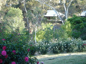 Battunga Bed & Breakfast - Dalby Accommodation 0