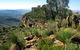 The Dutchmans Stern Old Homestead And Shearers Quarters - thumb 0