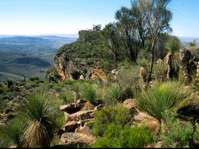 The Dutchmans Stern Old Homestead And Shearers Quarters - Dalby Accommodation 0