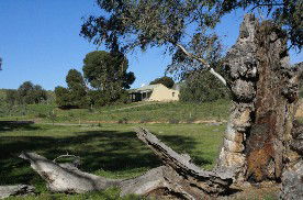 Saunders Gorge Sanctuary - Boundary Cottage - Dalby Accommodation 1