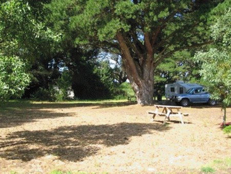 Millicent Hillview Caravan Park - Dalby Accommodation 1