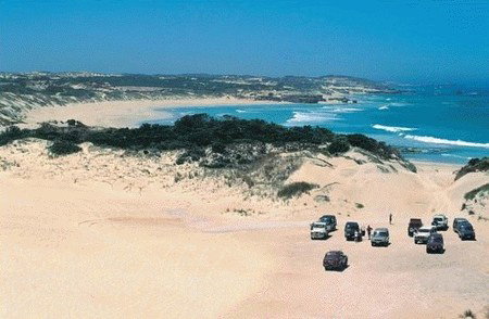 Millicent Hillview Caravan Park - Dalby Accommodation 2