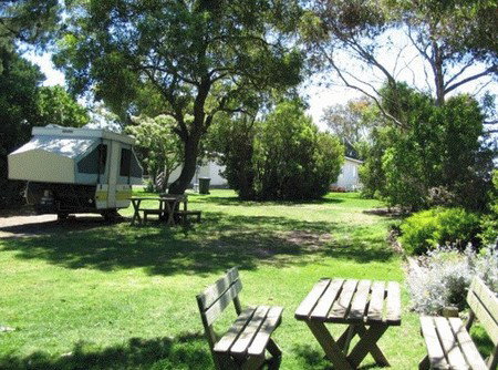 Millicent Hillview Caravan Park - Dalby Accommodation 3