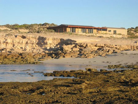 Tiliqua Sunrise - Dalby Accommodation 3