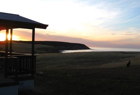 Waves And Wildlife - Dalby Accommodation 3