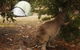 Western KI Caravan Park Cabins - thumb 2