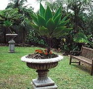 Bangalow Retreat - Dalby Accommodation