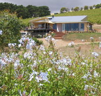The Blue Grape Vineyard Accommodation - Dalby Accommodation