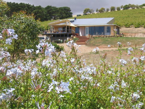 The Blue Grape Vineyard Accommodation - Dalby Accommodation 0
