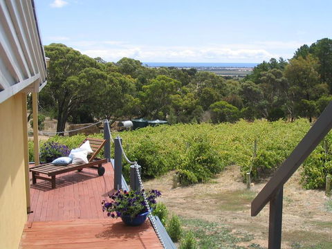 The Blue Grape Vineyard Accommodation - Dalby Accommodation 1