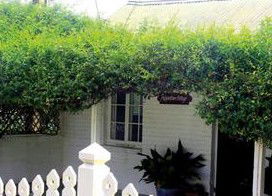 Peppertree Cottage Bed And Breakfast - Normanville - Dalby Accommodation 1