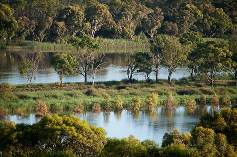 Riverview Rise Retreats - Dalby Accommodation 4