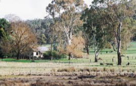 Tungali Cottage - Dalby Accommodation 3