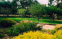 Naracoorte Cottages - Pinkerton Hill - Dalby Accommodation 2